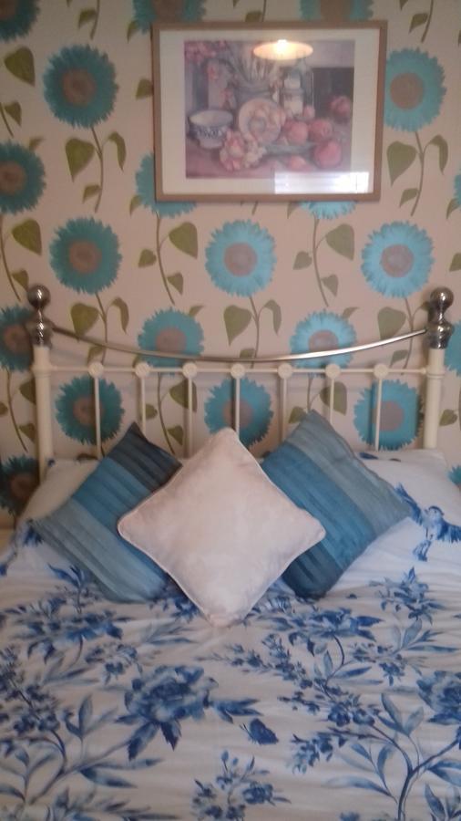 Amber Lodge Guest House Great Yarmouth Rum bild
